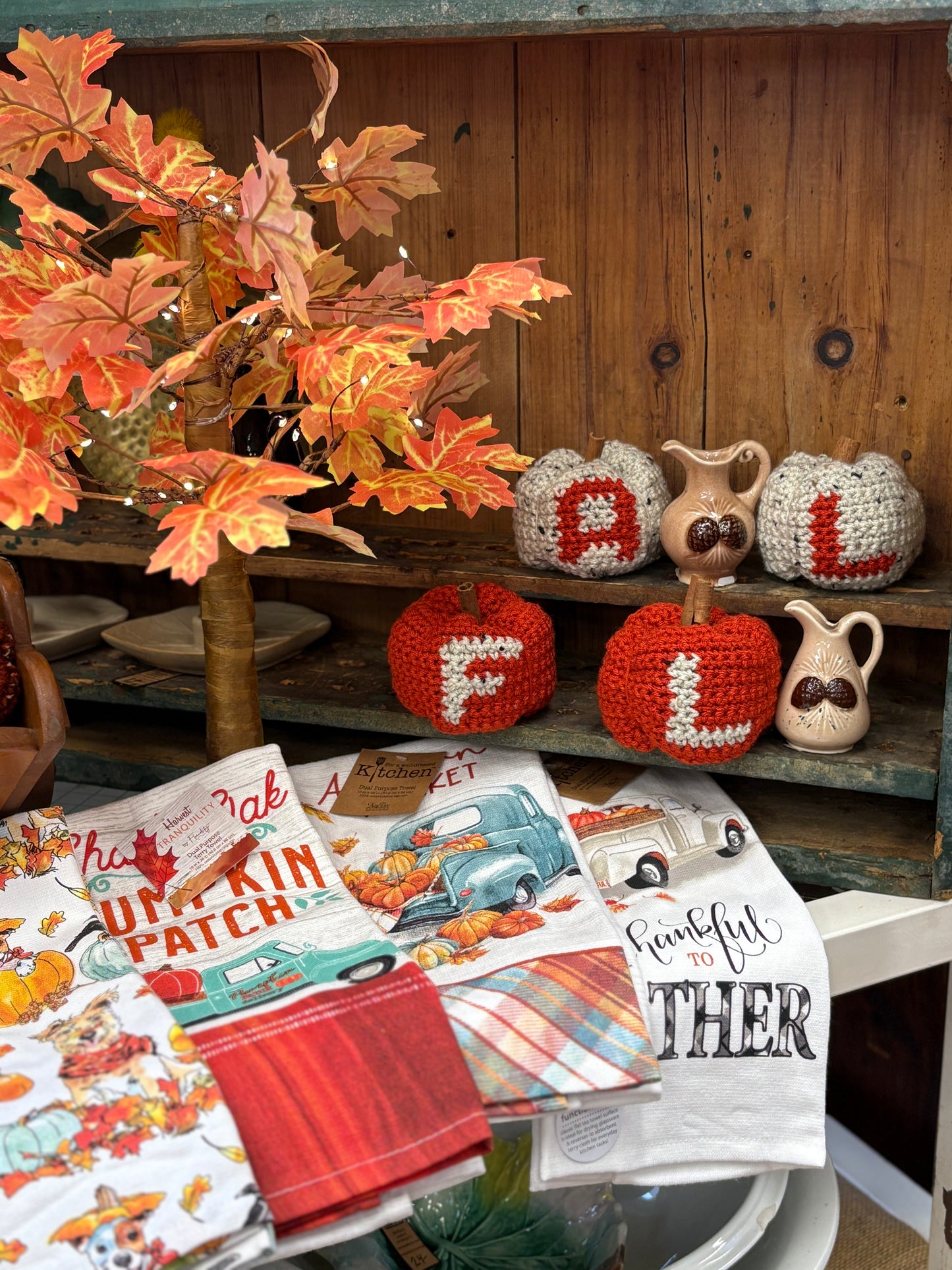 FALL pumpkins- White/ Orange