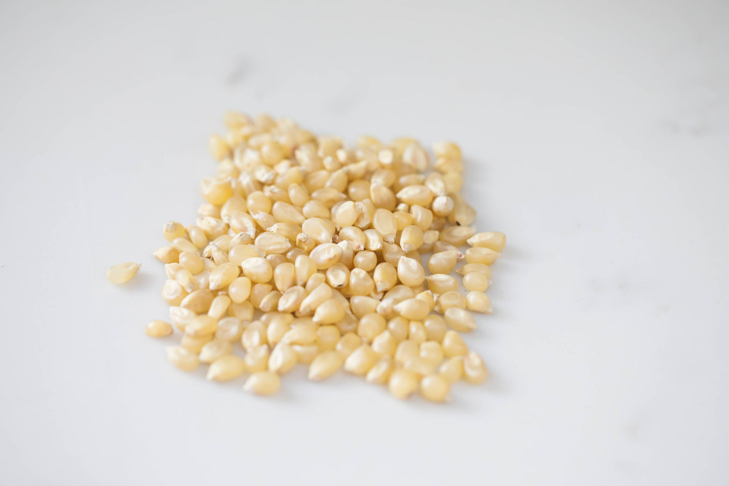 14oz Bottle of Medium White Hulless Popcorn